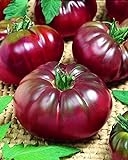 CEMEHA SEEDS - Black Prince Tomato Determinate Non GMO Vegetable for Planting Photo, best price $6.95 ($0.14 / Count) new 2024