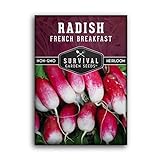 Survival Garden Seeds - French Breakfast Radish Seed for Planting - Pack with Instructions to Plant and Grow Long Radishes to Eat in Your Home Vegetable Garden - Non-GMO Heirloom Variety Photo, best price $4.99 new 2024