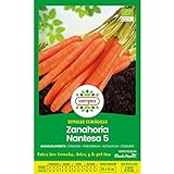 Semillas ecológicas de Zanahoria Nantesa 5 Vergea Foto, mejor precio 1,85 € nuevo 2024
