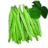 Park Seed Algarve French Climbing Bean Seeds, Pack of 100 Seeds Photo, best price $9.99 ($0.10 / Count) new 2024
