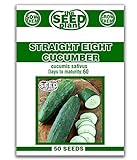 Straight Eight Cucumber Seeds - 50 Seeds Non-GMO Photo, best price $1.59 ($0.03 / Count) new 2024