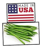 Green Bean Seeds-Heirloom Variety-Bush Bean Planting Seeds-50+ Seeds-USA Grown and Shipped from USA Photo, best price $6.99 new 2024