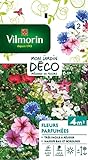 Vilmorin 5862942 Fleur parfumée, Multicolore, 90 x 2 x 160 cm Photo, meilleur prix 4,50 € nouveau 2024