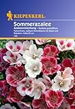 Sperli Blumensamen Sommerazalee Godetia Mischung, grün Foto, bester Preis 2,88 € (96,00 € / 100 g) neu 2024