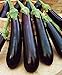 Photo CEMEHA SEEDS - Eggplant Aubergin Black Long Pop Thai Non GMO Vegetable for Planting