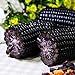 Photo Lot de 10 graines de maïs noir pour plantes, fruits, légumes, jardin, ferme, plantes nutritives – Graines de maïs