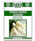 White Icicle Radish Seeds - 200 Seed Non-GMO Photo, best price $1.59 ($0.01 / Count) new 2024