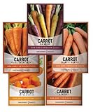Carrot Seeds for Planting Home Garden - 5 Variety Pack Rainbow, Imperator 58, Scarlet Nantes, Bambino and Royal Chantenay Great for Spring, Summer, Fall, Heirloom Carrot Seeds by Gardeners Basics Photo, best price $10.95 new 2024