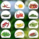 Chili Seed Set | 12 variedades de semillas de chile desde picante a suave | Set de cultivo con Chili Premium- Semillas naturales | fácil de cultivar/cultivar para el jardín y el balcón Foto, mejor precio 9,90 € nuevo 2024