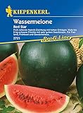 Melonen Wassermelone Red Star F1 Foto, bester Preis 4,24 € neu 2024