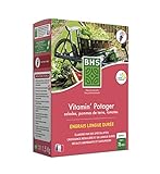 BHS EVPO1 Engrais Vitamin'  Potager | 1,5 kg | Soit 75 Pieds | Équilibre A Dominante Azotée Et Potassique pour Favoriser Une Croissance Régulière des Légumes du Jardin. Photo, meilleur prix 10,42 € nouveau 2024