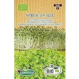Germisem Orgánica Sprouts Mix Semillas 20 g (ECBIO1901) Foto, mejor precio 3,99 € nuevo 2024