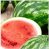 25 Cal Sweet Watermelon Seeds | Non-GMO | Heirloom | Instant Latch Garden Seeds Photo, best price $5.95 new 2024