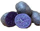 Purple Majesty Seed Potato 6 Tubers - Heirloom - Great Taste! Photo, best price $16.57 new 2024