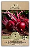 Gaea's Blessing Seeds - Beet Seeds - Detroit Dark Red Non-GMO Seeds with Easy to Follow Planting Instructions - Heirloom 92% Germination Rate 3.0g Photo, best price $4.99 new 2024
