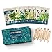 Photo 9 Herb Garden Seeds for Planting - USDA Certified Organic Herb Seed Packets - Non GMO Heirloom Seeds - Plant Markers & Gift Box - Tulsi Holy Basil, Cilantro, Mint, Dill, Sage, Arugula, Thyme, Chives