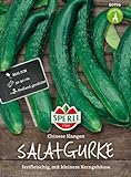 Gurkensamen - Salatgurke Chinese Slangen von Sperli-Samen Foto, bester Preis 2,17 € neu 2024