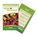 Zinnien Dahlienblütige Riesen, Mischung Samen - Zinnia elegans - Zinniensamen - Blumensamen - Saatgut für 70 Pflanzen Foto, bester Preis 1,99 € (0,03 € / stück) neu 2024