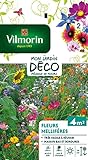 Vilmorin 5862842 Fleur mellifère, Multicolore, 90 x 2 x 160 cm Photo, meilleur prix 4,50 € nouveau 2024