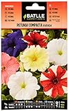 Semillas Batlle - Petunia Compacta VARIADA, Multicolor Foto, mejor precio 1,88 € nuevo 2024