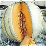 Melon charentais 30 graines Il est un melon européen classique Photo, meilleur prix 4,39 € nouveau 2024