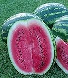 Melone - Wassermelone Crimson Sweet - 10 Samen Foto, bester Preis 1,70 € (1,70 € / count) neu 2024