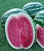 Foto Melone - Wassermelone Crimson Sweet - 10 Samen