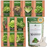 10 Heirloom Lettuce and Leafy Greens Seeds - 1500 Seeds - Non GMO Seeds for Planting - Kale, Spinach, Butter, Oak, Romaine, Iceberg, Bibb, Arugula | Hydroponic Home Vegetable Photo, best price $15.98 ($0.01 / Count) new 2024