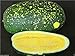 Photo Watermelon seeds - Moon & Stars-Yellow (Citrullus lanatus) Non-GMO Heirloom ! (50 Seeds)
