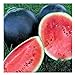 Photo 25 Black Diamond Watermelon Seeds | Non-GMO | Heirloom | Instant Latch Garden Seeds