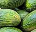 Photo 50 Valencia Late Melon Seeds | Non-GMO | Heirloom | Fresh Garden Seeds