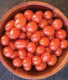 Burpee Napa Grape Tomato Seeds 30 seeds Photo, best price $8.49 ($0.28 / Count) new 2024