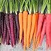 Foto Frisches Obstsamen mit 500Pcs Gemischte Farbe Karottensamen Leckeres Gemüse Obst Garten Farm Pflanze zum Pflanzen Garten Yard Home Landschaftsbau