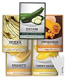 Squash Seeds for Planting 5 Individual Packets - Zucchini, Delicata, Butternut, Spaghetti and Golden Crookneck for Your Non GMO Heirloom Vegetable Garden by Gardeners Basics Photo, best price $10.95 ($2.19 / Count) new 2024