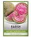 Photo Watermelon Radish Seeds for Planting - Heirloom, Non-GMO Vegetable Seed - 2 Grams of Seeds Great for Outdoor Spring, Winter and Fall Gardening by Gardeners Basics