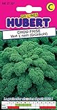 Graines de Chou Frisé 1/2 Nain - Kale - 2 grammes Photo, meilleur prix 3,55 € nouveau 2024