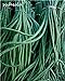 Foto 8 piezas del multicolor Frijoles aflojados Semillas Semillas largo de judías de semillas de plantas en maceta crecen más rápido perenne del jardín de flores de la planta 11