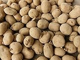 5 Lbs Yukon Gold Seed Potatoes - USA Non-GMO Certified Potato TUBERS SPUDS Photo, best price $9.99 new 2024