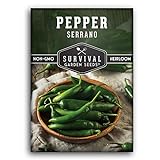 Survival Garden Seeds - Serrano Pepper Seed for Planting - Packet with Instructions to Plant and Grow Spicy Mexican Peppers in Your Home Vegetable Garden - Non-GMO Heirloom Variety Photo, best price $4.99 new 2024