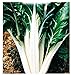 Foto Semillas de acelga verde 2 de remolacha plateada - verduras - beta vulgaris - aprox. 300 semillas - las mejores semillas de plantas - flores - frutas raras - remolacha verde - idea de regalo