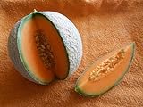 Melone Charentais 5 Samen -Neue Züchtung aus Cantaloupe/Zuckermelone Sehr sehr Süß Foto, bester Preis 1,98 € neu 2024