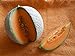 Foto Melone Charentais 5 Samen -Neue Züchtung aus Cantaloupe/Zuckermelone Sehr sehr Süß