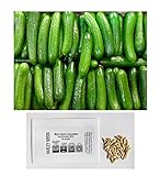 US Grown! 30+ Persian Beit Alpha (a.k.a. Lebanese) Cucumber Seeds Heirloom Non-GMO Burpless Sweet Non-Bitter and Acid Free, Crispy and Sweet, Fragrant and Delicious, Cucumis sativus, Grown in USA! Photo, best price $2.69 new 2024