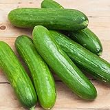 Spacemaster 80 Cucumber Seeds - 50 Count Seed Pack - Non-GMO - Produces Large Numbers of flavorful, Full-Sized Slicing Cucumbers Perfect for The Small Garden. - Country Creek LLC Photo, best price $2.29 new 2024