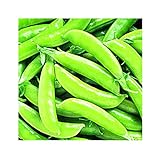Park Seed Super Sugar Snap Pea Seeds, Delicious and High Yield, Pack of 160 Seeds Photo, best price $8.95 ($0.06 / Count) new 2024
