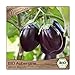 Foto BIO Aubergine Samen Sorte Black Beauty (Solanum melongena) Gemüsesamen Eierfrucht Saatgut