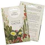 Mélange de graines de cactus: Kit graine de cactus à fleurs pour plantes de cactus en pot magnifique - Plante naturelle et décorative d'intérieur - Plant mini-cactus à faire pousser par OwnGrown Photo, meilleur prix 3,95 € (3,95 € / unité) nouveau 2024