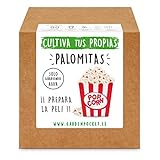 Garden Pocket - Kit Cultivo Palomitas de Maíz Foto, mejor precio 13,93 € nuevo 2024