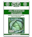 All Seasons Cabbage Seeds - 250 SEEDS Photo, best price $1.59 new 2024