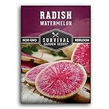 Survival Garden Seeds - Watermelon Radish Seed for Planting - Packet with Instructions to Plant and Grow Unique Asian Vegetables in Your Home Vegetable Garden - Non-GMO Heirloom Variety Photo, best price $4.99 new 2024